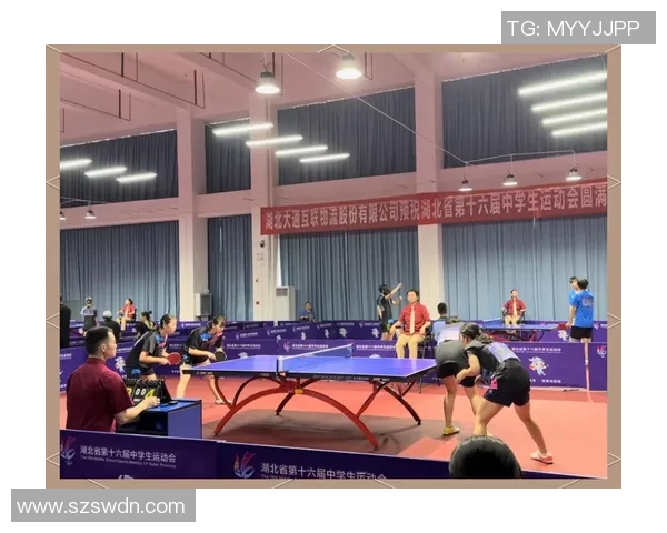 武汉乒乓球队的精神传承与训练理念深度解析