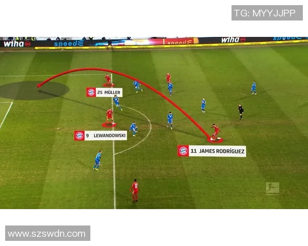 武汉篮球队的团队协作与战术配合深度分析与探讨