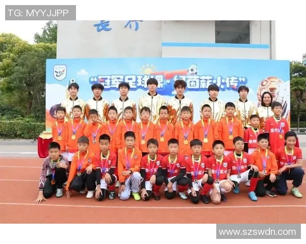 泰州足球明星学校的现状与发展前景探讨 泰州足球明星学校的现状与发展前景探讨