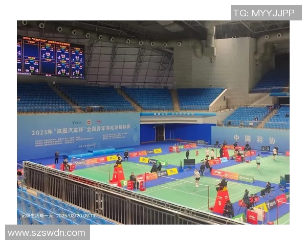 聚焦羽毛球：探讨杭州羽毛球队在战术灵活性上的创新与发展